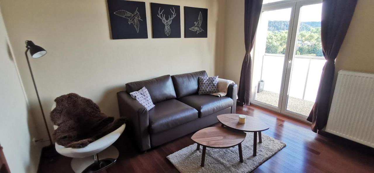 Moser Apartment Carlsbad Карловы Вары Экстерьер фото