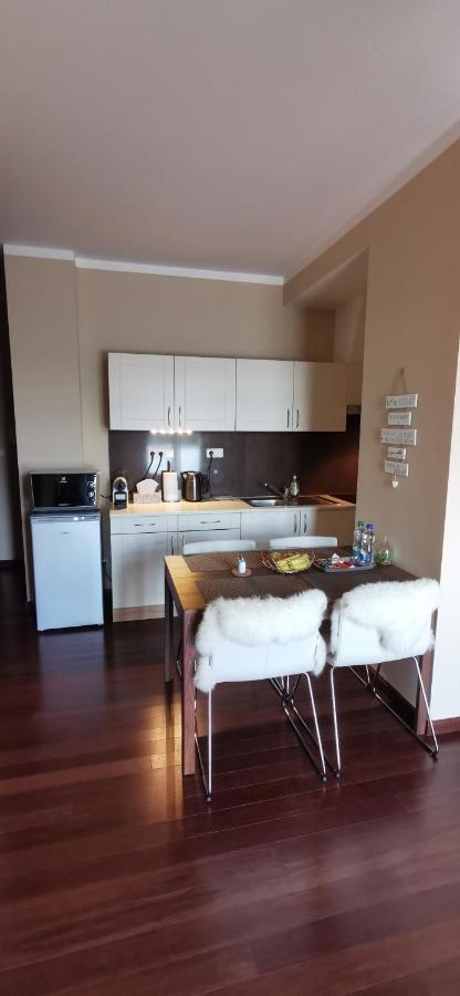 Moser Apartment Carlsbad Карловы Вары Экстерьер фото