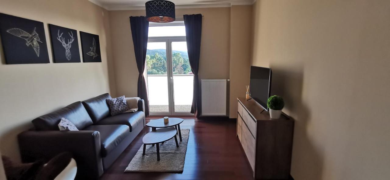 Moser Apartment Carlsbad Карловы Вары Экстерьер фото